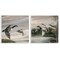 Stupell Industries Geese & Ducks in Nature 2pc Wall Plaque Set Design by Ruane Manning